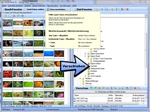 Bildverwaltungsprogramm für Windows